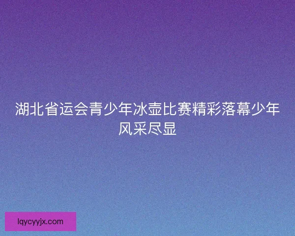 湖北省运会青少年冰壶比赛精彩落幕少年风采尽显