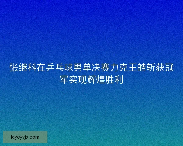张继科在乒乓球男单决赛力克王皓斩获冠军实现辉煌胜利